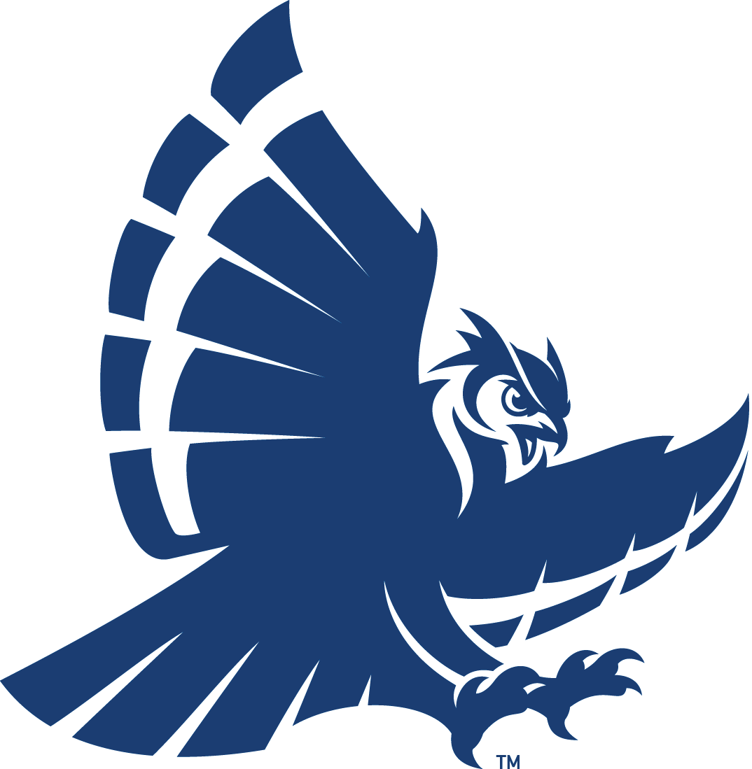 Rice Owls 2017-Pres Secondary Logo v2 iron on transfers for clothing